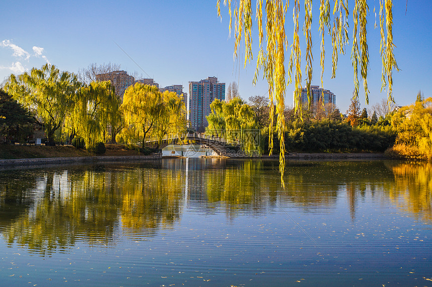 北京紫竹院公园深秋河边景色图片