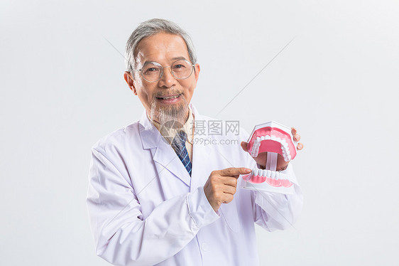 中医手拿牙齿模型图片