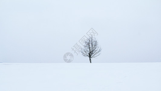 冬季雪景背景图片