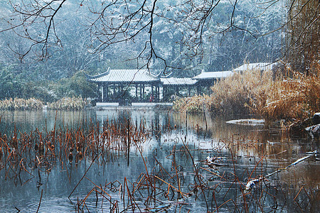 南京玄武湖冬景图片