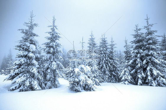 冬季雪景图片