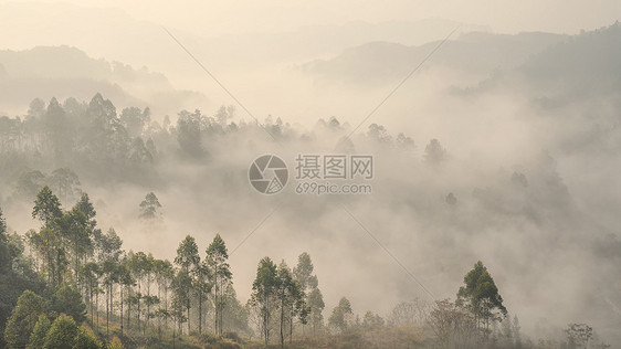 四川威远县骑龙坳图片