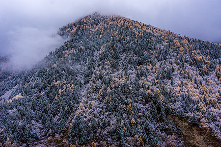 雪后的四川夹皮沟图片