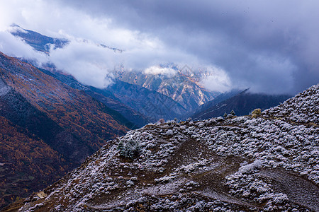 雪后夹金山背景