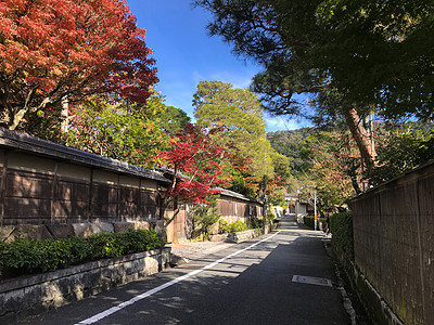 日本游海报日本京都小径秋景背景