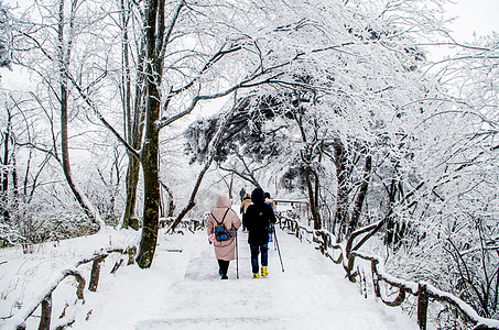 小寒节气海报黄山雾凇雪景背景