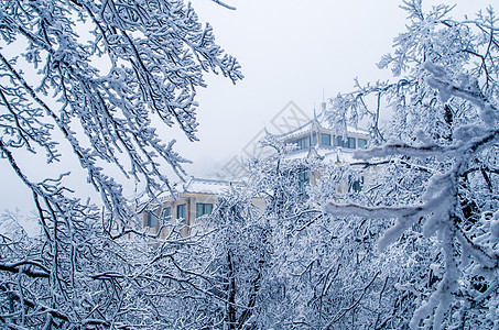 黄山雾凇建筑雪景风景高清图片素材