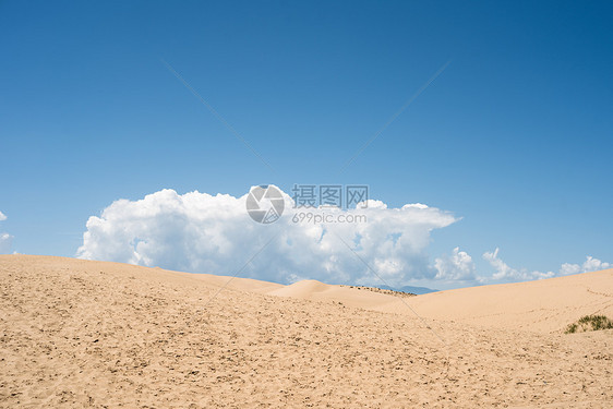 青海湖沙化区图片