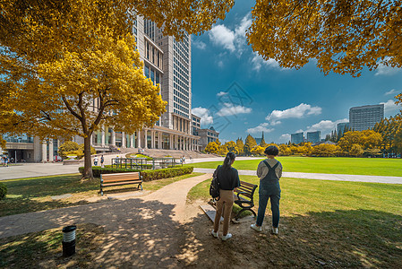 秋季校园上海复旦大学美丽秋色校园背景