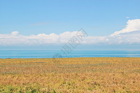 青海湖背景图片