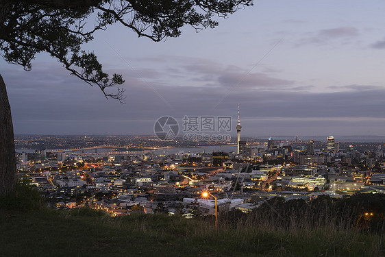 新西兰奥克兰夜景 城市天际线图片