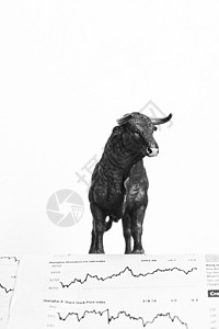 股市投资图片