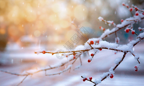 素材下雪冬天风景设计图片