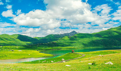 玉科草原草原风光好背景