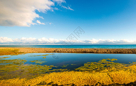 新疆赛里木湖风景背景图片