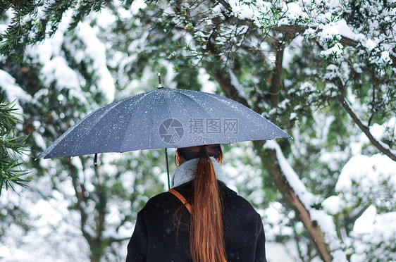 雪中撑伞背影图片