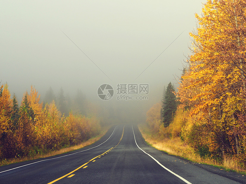 ‘~阿拉斯加斯特灵公路雾气秋景  ~’ 的图片