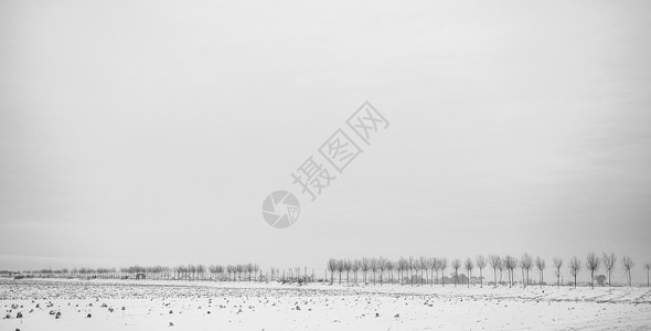 水墨太极东北黑白简约雪景背景