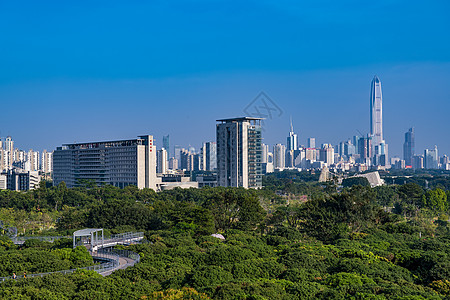 深圳香蜜公园背景