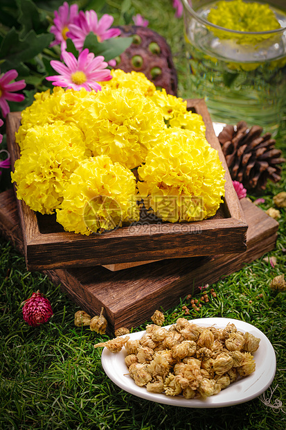 菊花茶图片