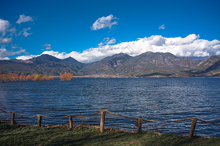 洱海公园云南拉市海湿地公园背景