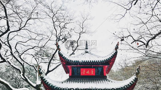 雪景岳麓山爱晚亭图片