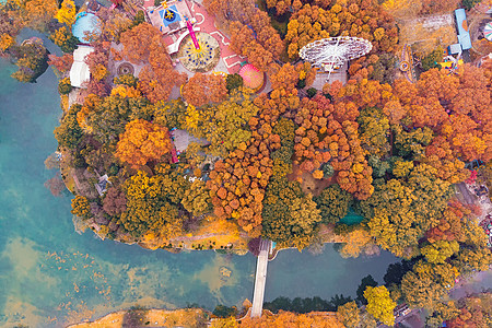 俯瞰城市俯瞰武汉城市公园的秋天背景