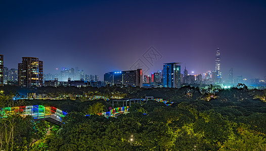 园林夜色深圳香蜜公园夜景背景