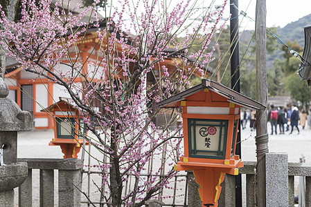 日本罗宾日本京都八坂神社背景