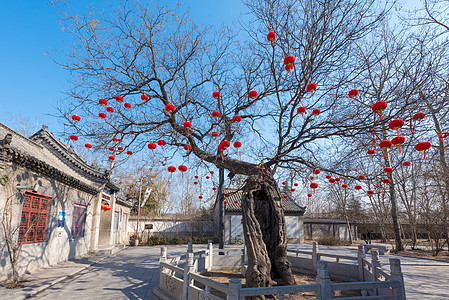 潍坊杨家埠民俗旅游区图片