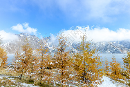 小雪新疆天山风光背景