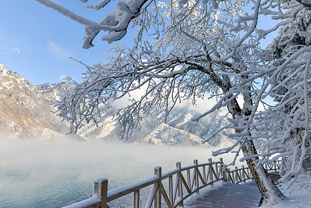 新疆天山雾凇雪高清图片素材