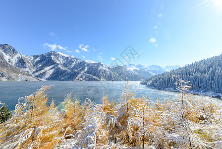 山湖雪墩新疆天山雾凇背景