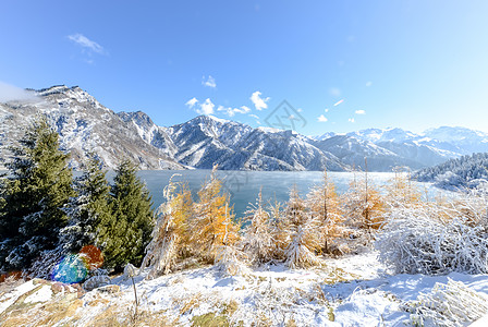 雾雪新疆天山雾凇背景