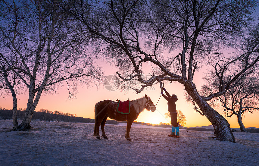 冬天雪景风光图片