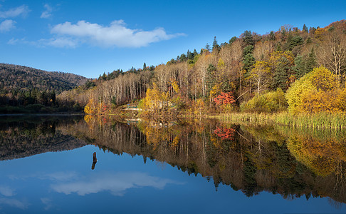 湖光十色秋天景色背景