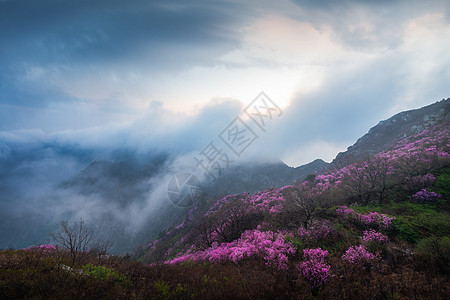 山川河流唯美风光背景图片