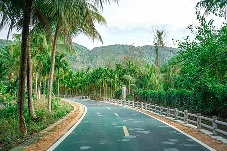 海南旅行自驾公路图片