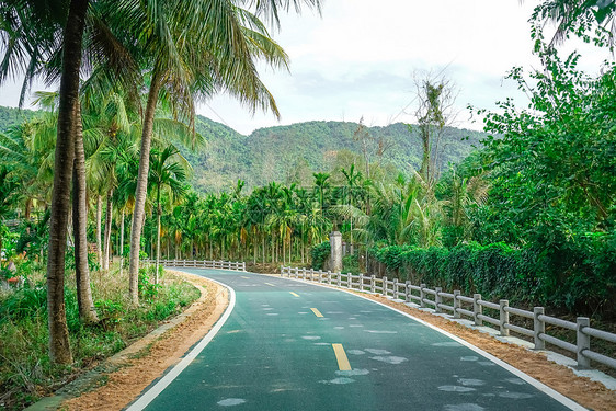 海南旅行自驾公路图片