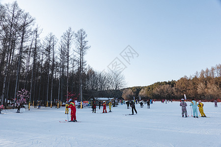 公园里滑雪的人图片