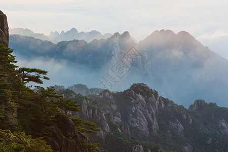 云雾缭绕悬崖黄山云海日出背景