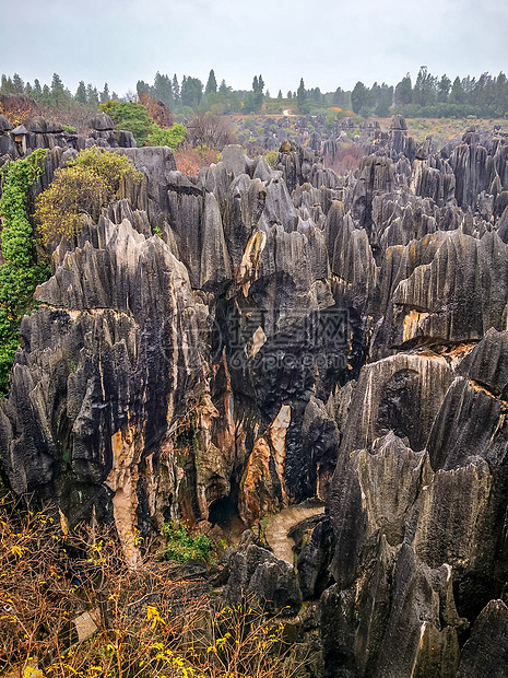 云南昆明石林风景区图片