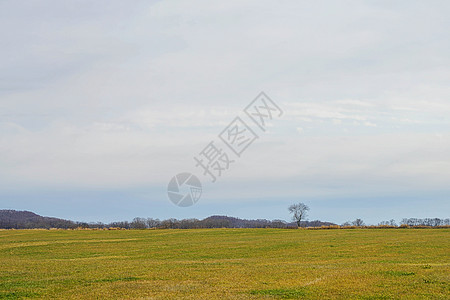 日本北海道山地田野风光图片