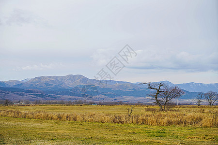 日本北海道山地田野风光图片