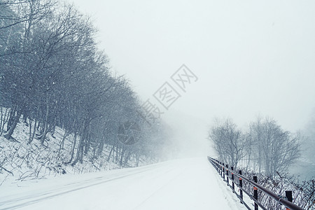 北海道雪景图片 北海道雪景素材 北海道雪景高清图片 摄图网图片下载