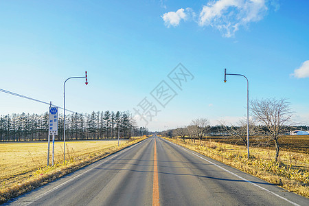 日本北海道十胜农场公路背景图片