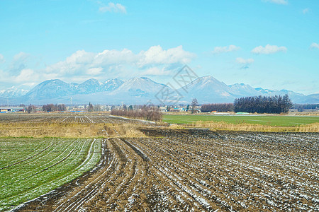 日本北海道十胜农场背景图片