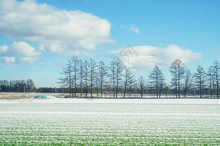 日本北海道十胜农场图片