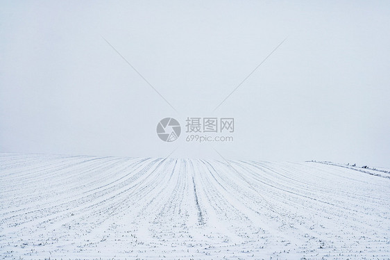 北海道冬天田野唯美风光图片