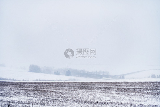 北海道冬天田野唯美风光图片